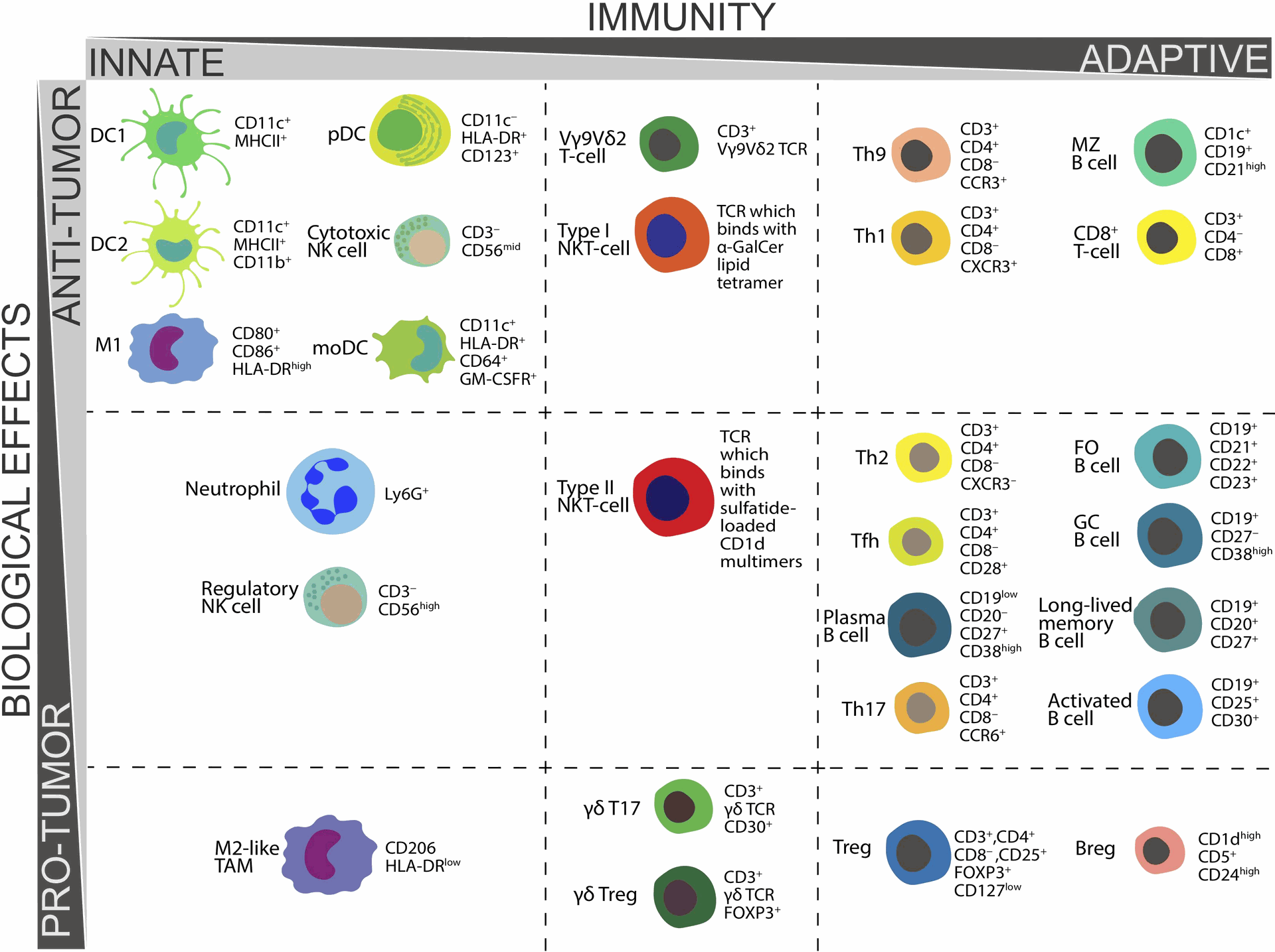 Cytokines in Cancer Immunotherapy