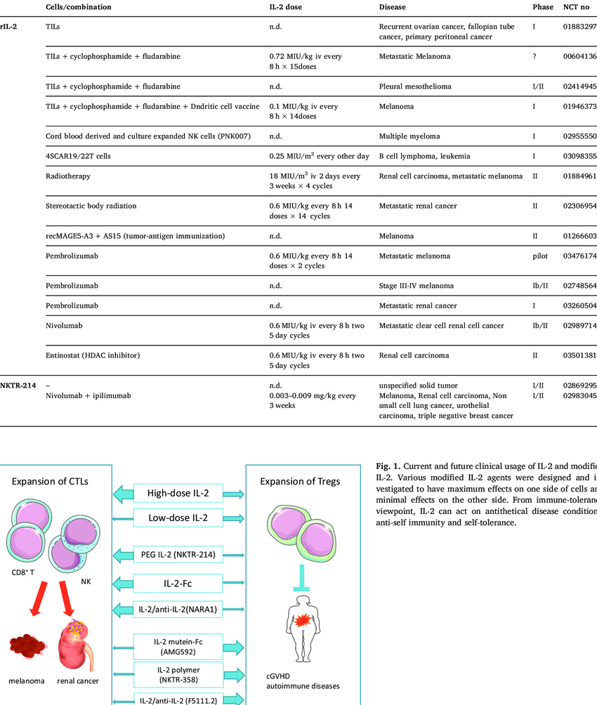 Ongoing clinical trials cancer immunotherapy using IL-2 and modified IL-2.