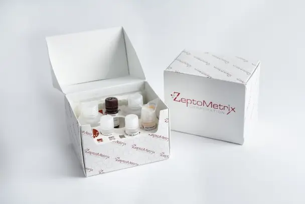 NATtrol™ P. jirovecii E. Coli Recombinant External Run Control ''6 x 0.5mL''