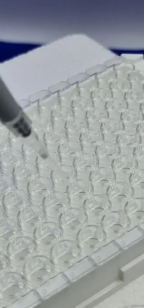 Mouse ''Serum Amyloid A'' SAA ELISA Assay   96 wells plate