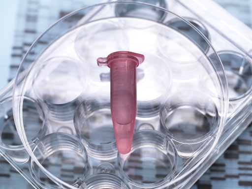 [GEN - BXP2102-GAS] pHTS-Neo-GAS