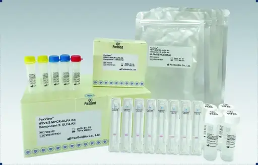 [V0232F] PaxView® Herpes 1 & 2 Detection Kit